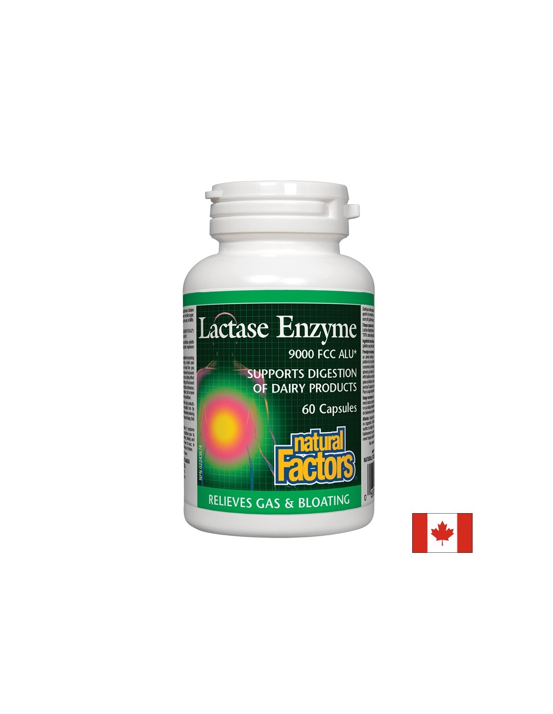 Lactase Enzyme 250 mg - 60 capsules - Nutra Best Europe