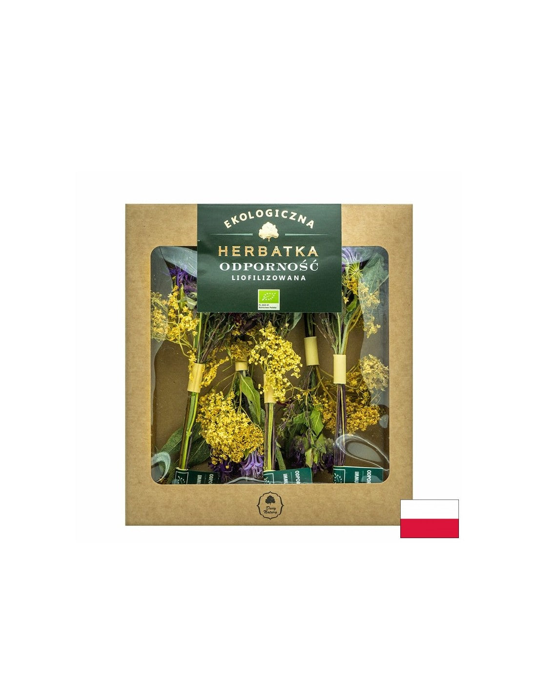 Lyophilized Tea Immunity BIO, 12.5 g - Nutra Best Europe