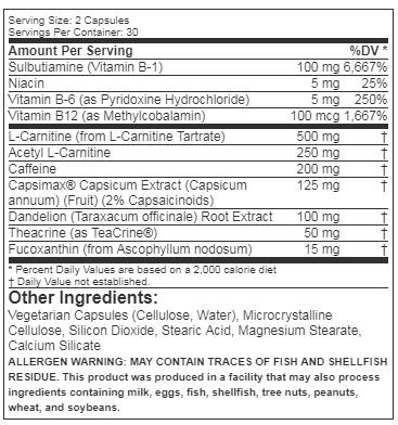 Shred Sport 60 capsules - Nutra Best Europe