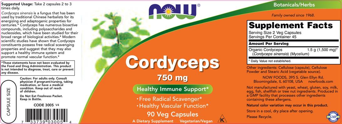 Cordyceps 750 mg - 90 capsules - Nutra Best Europe