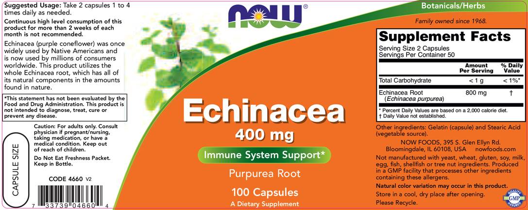 Echinacea 400 mg - 100 capsules - Nutra Best Europe
