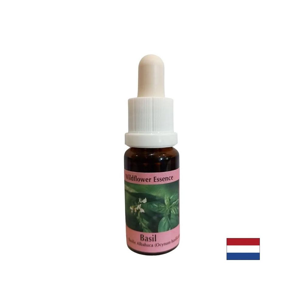 Unites the energy centers, for good digestion - Basil Essence No. 23, drops 15 ml - Nutra Best Europe