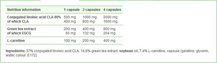 CLA, Green Tea plus L-Carnitine | Sport Edition - 60 capsules - Nutra Best Europe