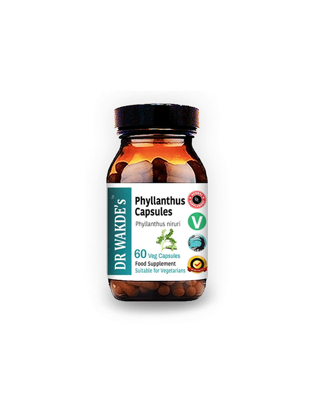 Phyllanthus - for diseases of the liver and spleen, gout, 60 capsules - Nutra Best Europe