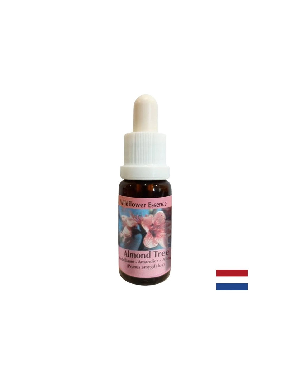 Rejuvenates the body and stimulates healthy eating - Almond Essence No. 31, drops 15 ml - Nutra Best Europe