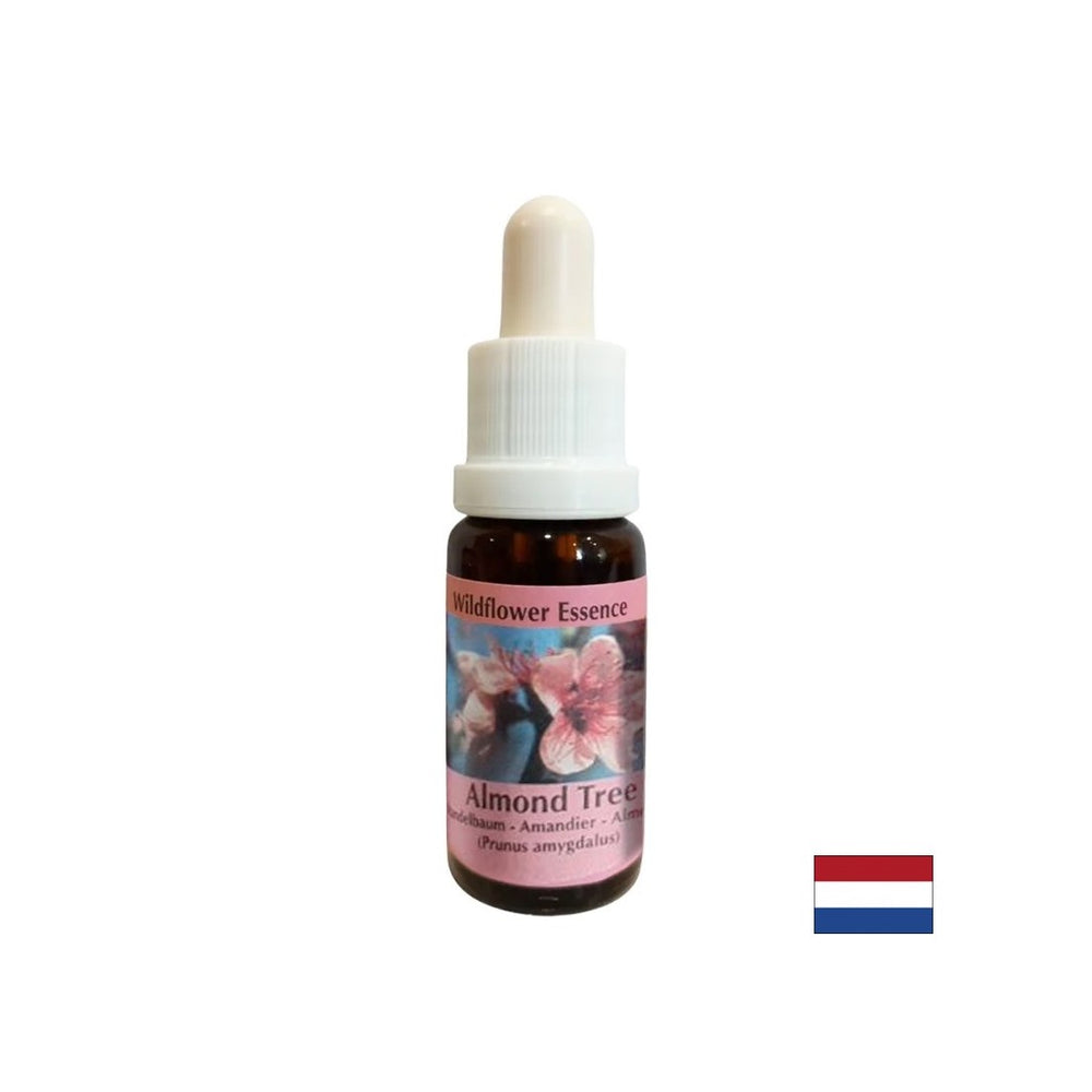 Rejuvenates the body and stimulates healthy eating - Almond Essence No. 31, drops 15 ml - Nutra Best Europe