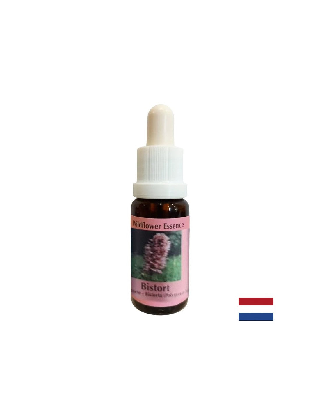 Supports concentration and focus - Bloodroot Essence No. 28, drops 15 ml - Nutra Best Europe
