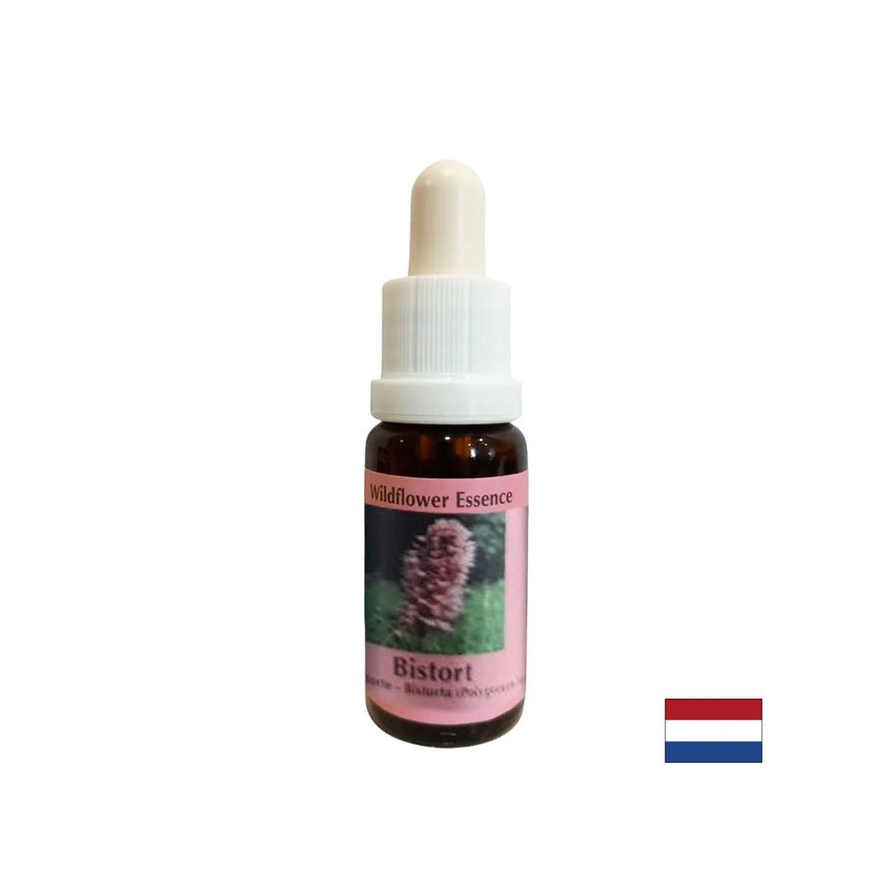 Supports concentration and focus - Bloodroot Essence No. 28, drops 15 ml - Nutra Best Europe
