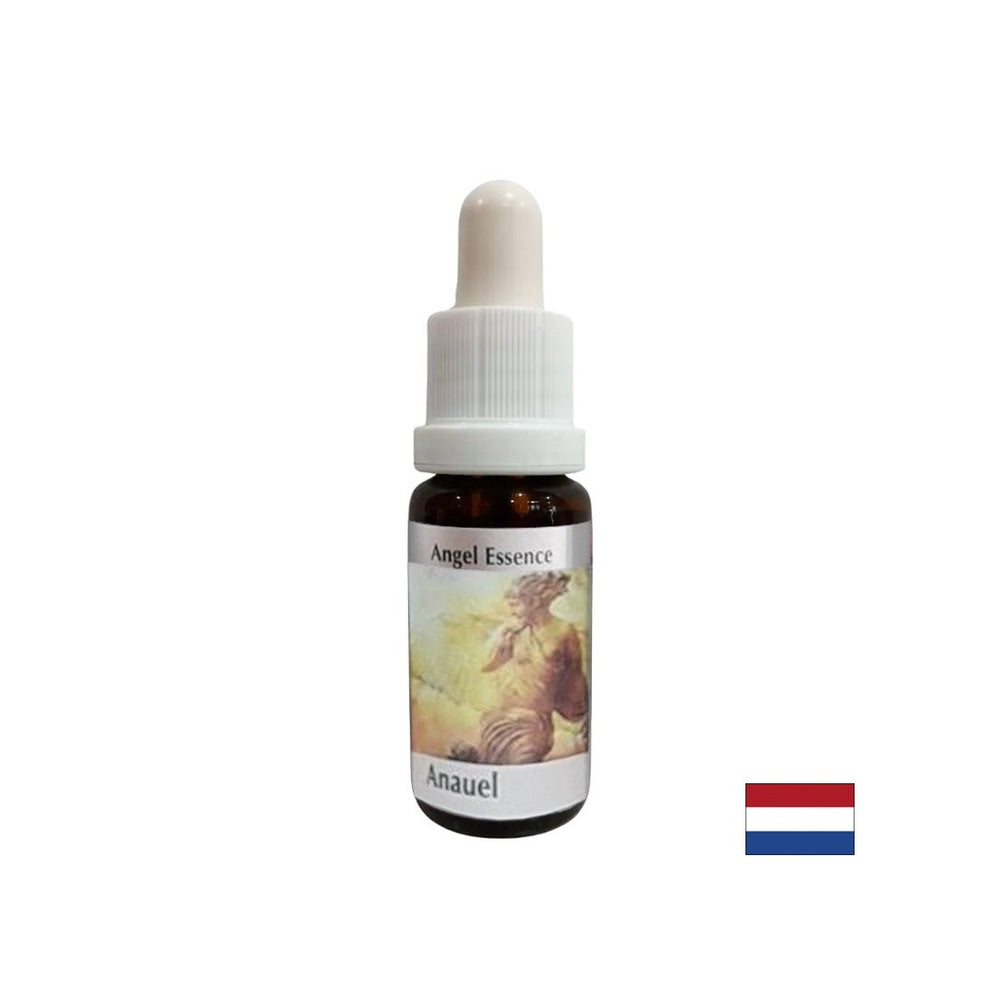 Helps to understand the meaning of money - Angel Essence No. 1, drops 15 ml - Nutra Best Europe