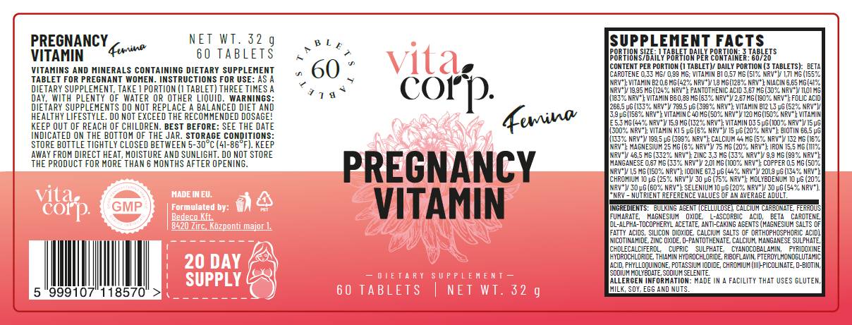 Pregnancy Vitamin Femina - 60 Tablets - Nutra Best Europe