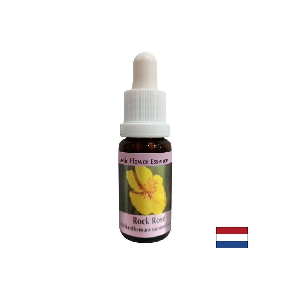 Clarifies the mind in case of fear and panic - Helianthemum Essence (Yellow) No. 26, drops 15 ml - Nutra Best Europe