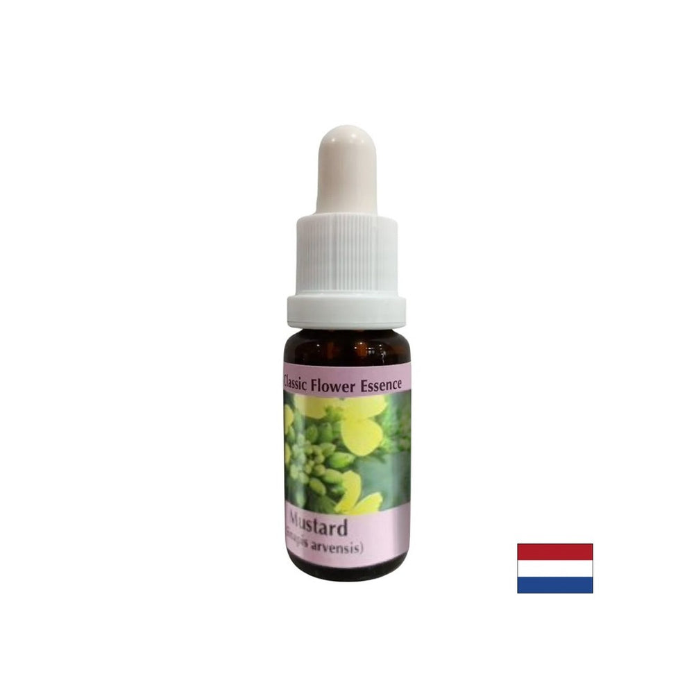 Against negative thoughts and depression - Essence Sinap No. 21, drops 15 ml - Nutra Best Europe