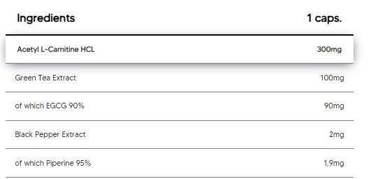 ALC + GT90 | Acetyl L-Carnitine & Green Tea Extract with 90% EGCG - 100 capsules - Nutra Best Europe