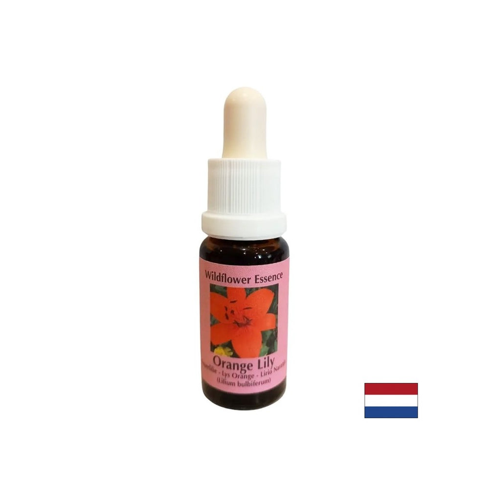 Connects the 2nd and 4th chakras, stimulates energy and creativity - Lilium Essence No. 25, drops 15 ml - Nutra Best Europe