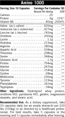 Amino 1000 500 capsules - Nutra Best Europe