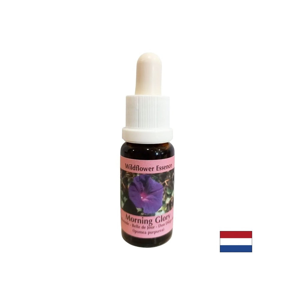 Calms anxiety and eradicates negative habits - Gramophone Essence No. 34, drops 15 ml - Nutra Best Europe