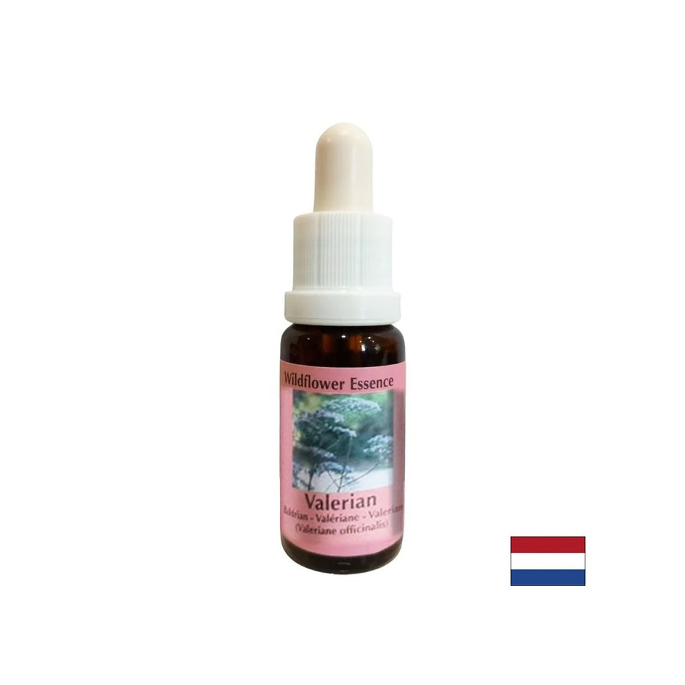 Calms the body and spirit, helps against insomnia and stress - Valerian Essence No. 21, drops 15 ml - Nutra Best Europe