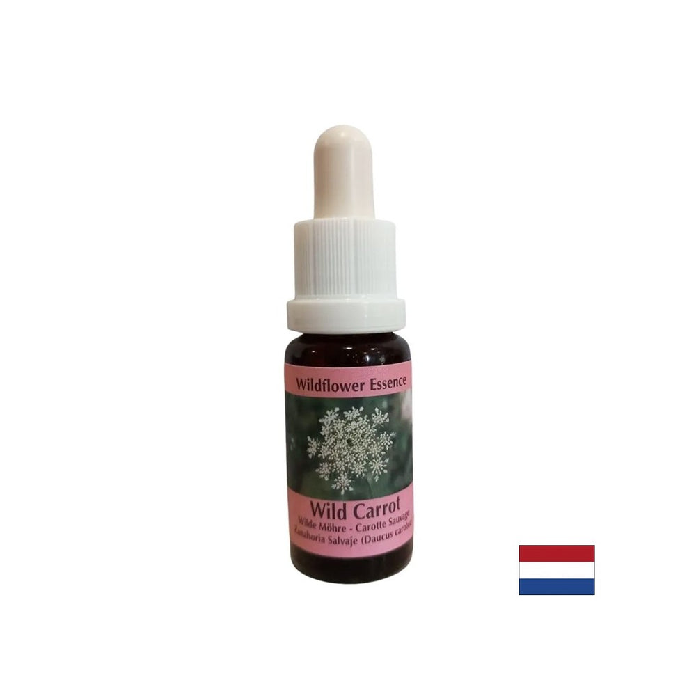 Calms the mind - Wild Carrot Essence, drops 15 ml - Nutra Best Europe