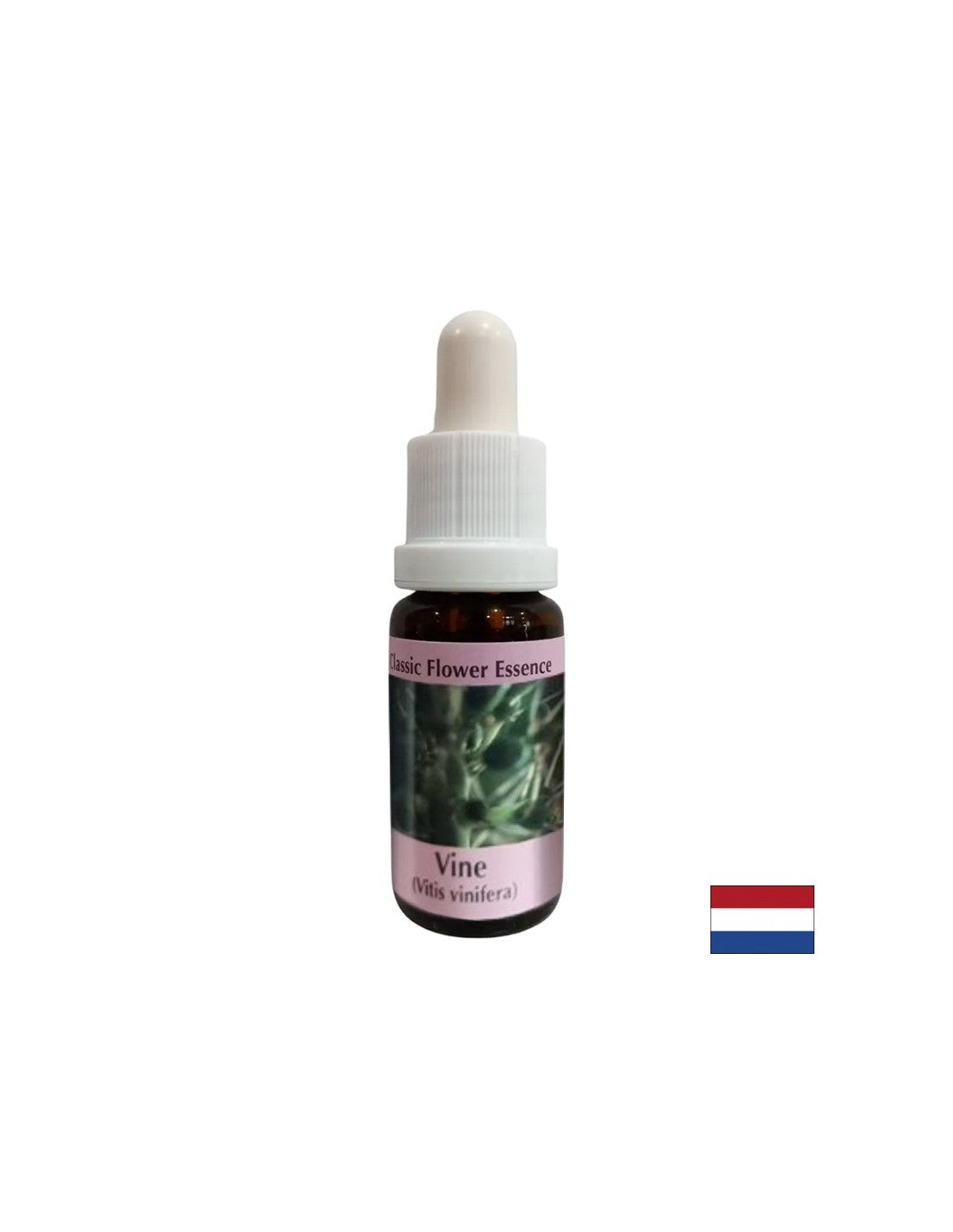 To control selfishness - Grape Essence No. 32, drops 15 ml - Nutra Best Europe