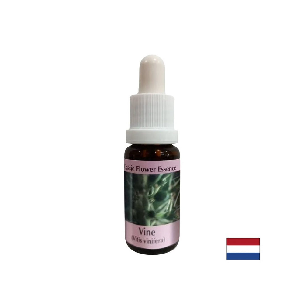 To control selfishness - Grape Essence No. 32, drops 15 ml - Nutra Best Europe