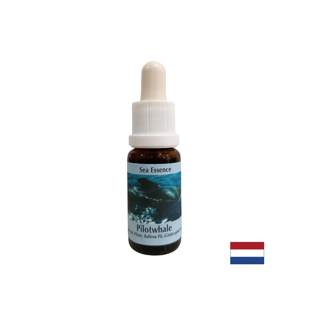 For meditation - Essence Black Grind No. 10, drops 15 ml - Nutra Best Europe