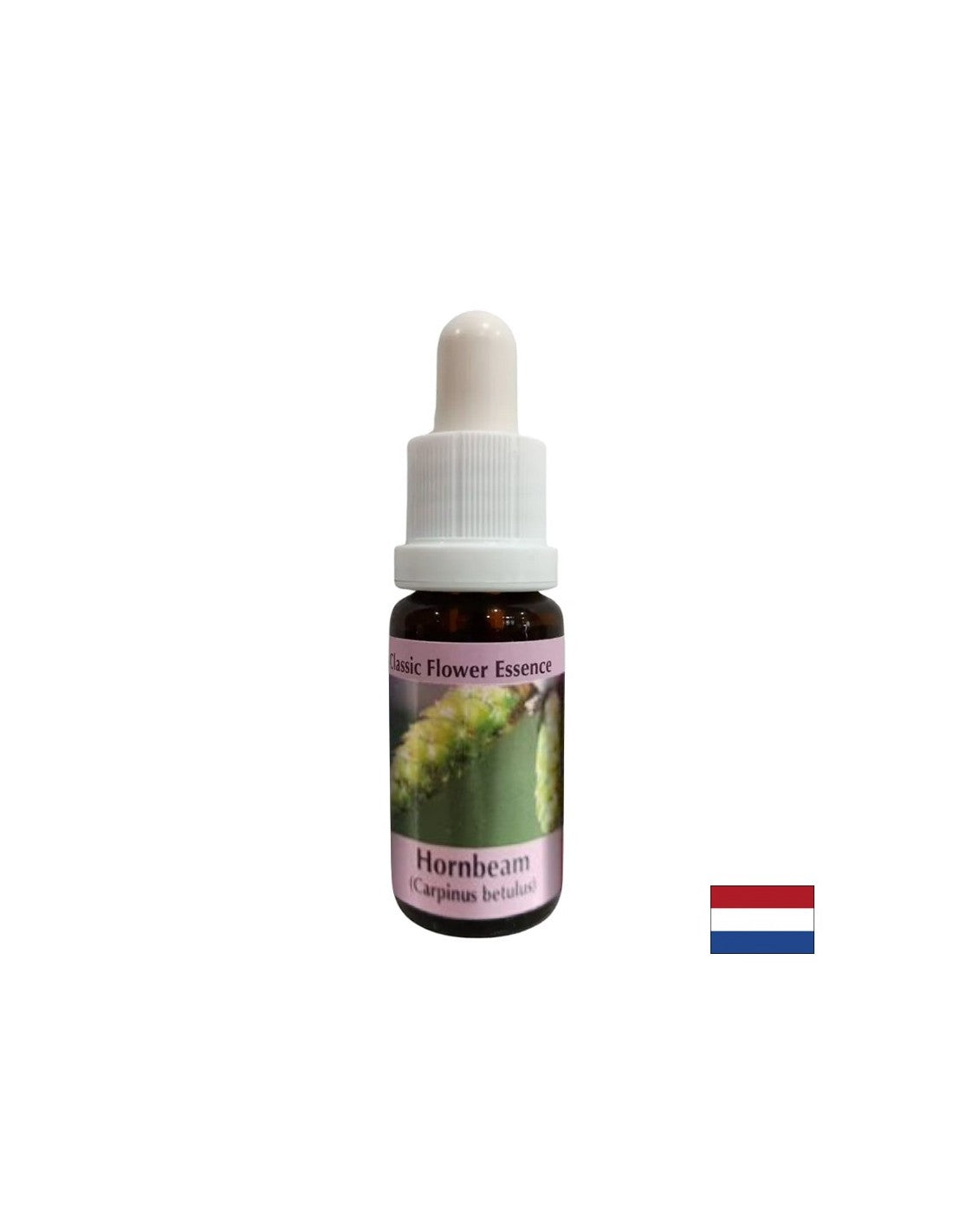 For more energy and motivation - Hornbeam Essence No. 17, drops 15 ml - Nutra Best Europe