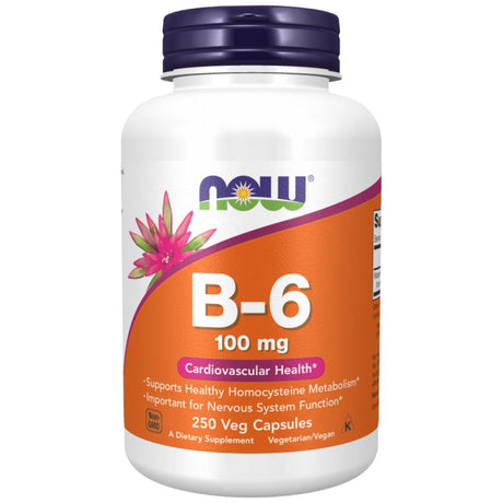 Vitamin B-6 100 mg - 250 capsules - Nutra Best Europe
