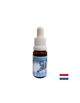 Az érzelmi egyensúlyért és stabilitásért No. 10 - Smoky Quartz Essence, cseppek 15 ml