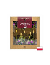 Liofilizált tea South Garden Bio, 10 g <tc>Dary Natury</tc>