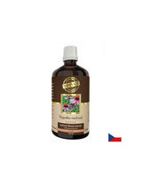 Immunitás - Echinacea, 100 ml tinktúra