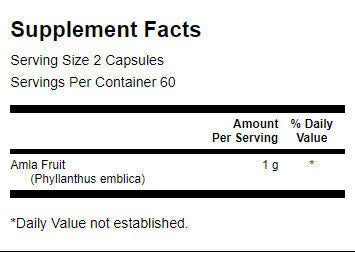 Full Spectrum Amla Fruit 500 mg - 120 capsules - Nutra Best Europe