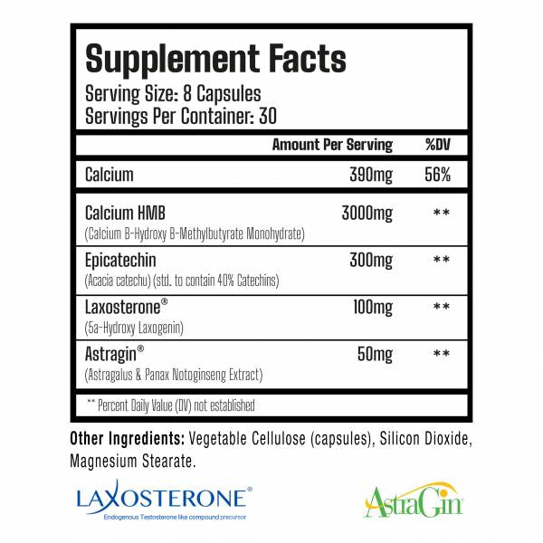 Seismic | Natural Muscle Building Complex - 240 capsules - Nutra Best Europe