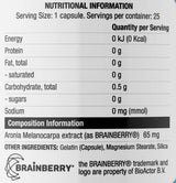 Brainberry | Amplify Series - 25 capsules - Nutra Best Europe