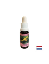Ösztönzi a tudatos változást - Essence White Mistletoe No. 12, cseppek 15 ml