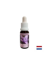 Önbizalmat ad - Gentian Essence No. 12, cseppek 15 ml