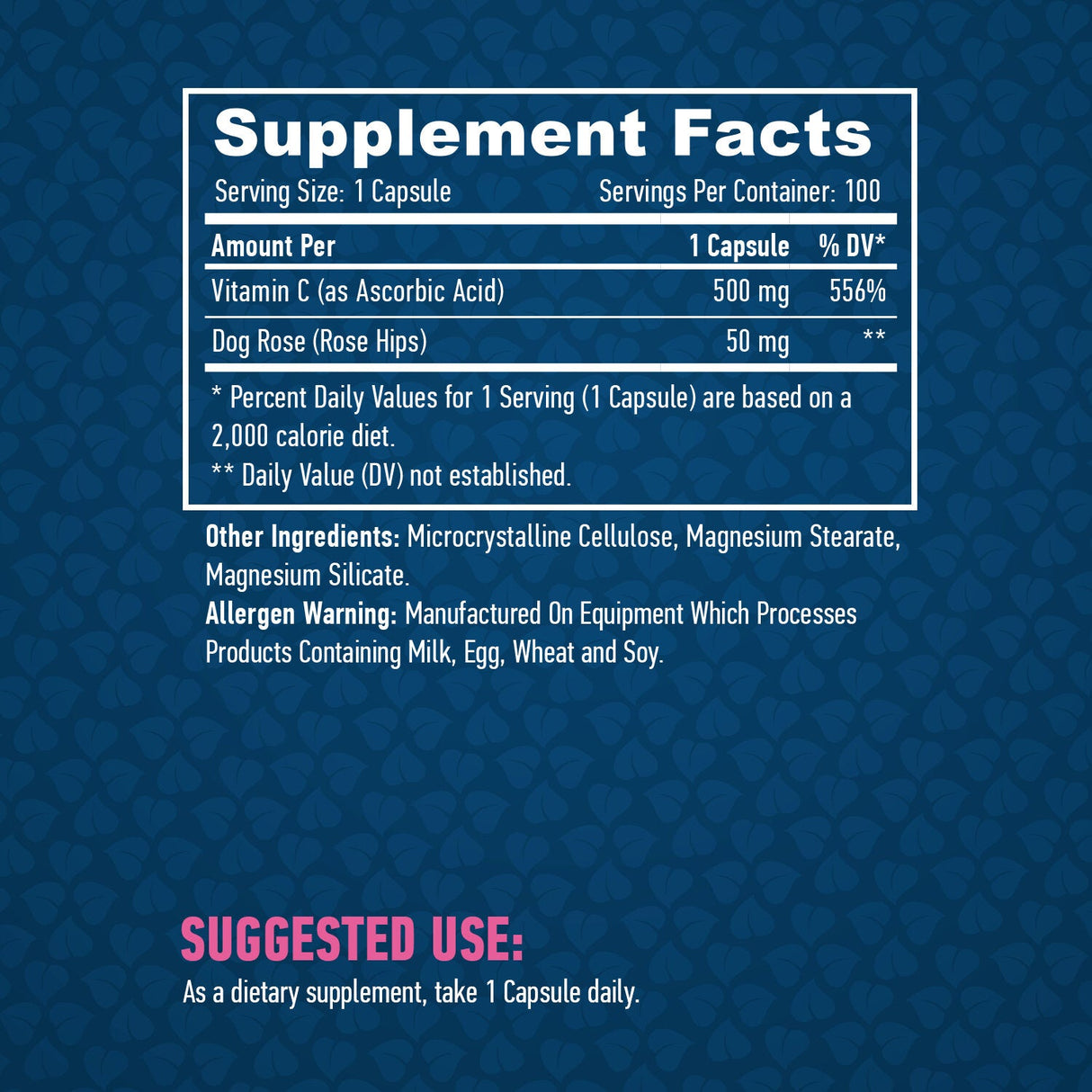 Vitamin C with Rose Hips 500mg / 100 Caps. - Nutra Best Europe