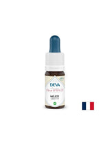 Félelemre és bizonytalanságra - Vörösfenyő, Bach cseppek No. 19, 15 ml
