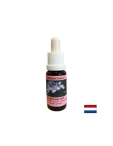 Eltávolítja a negatív energiákat és a félelmeket - Forest Forget-me-not Essence No. 19, cseppek 15 ml