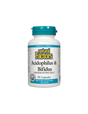 Acidophilus & Bifidus | 5 Billion Active Cells - 90 capsules - Nutra Best Europe