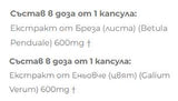 Nyírfa kivonat + nyírfa - 2 x 60 kapszula