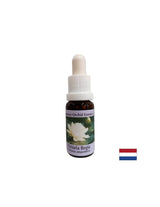 A spirituális tudatosság érdekében - Victoria Regia Essence No. 20, 15 ml-es cseppek