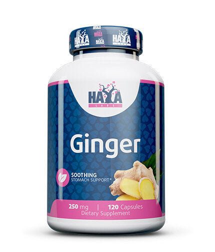 Ginger 250mg. / 120 Vcaps. - Nutra Best Europe
