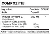 TriBul 250mg | Tribulus Terrestris Extract - 60 capsules - Nutra Best Europe