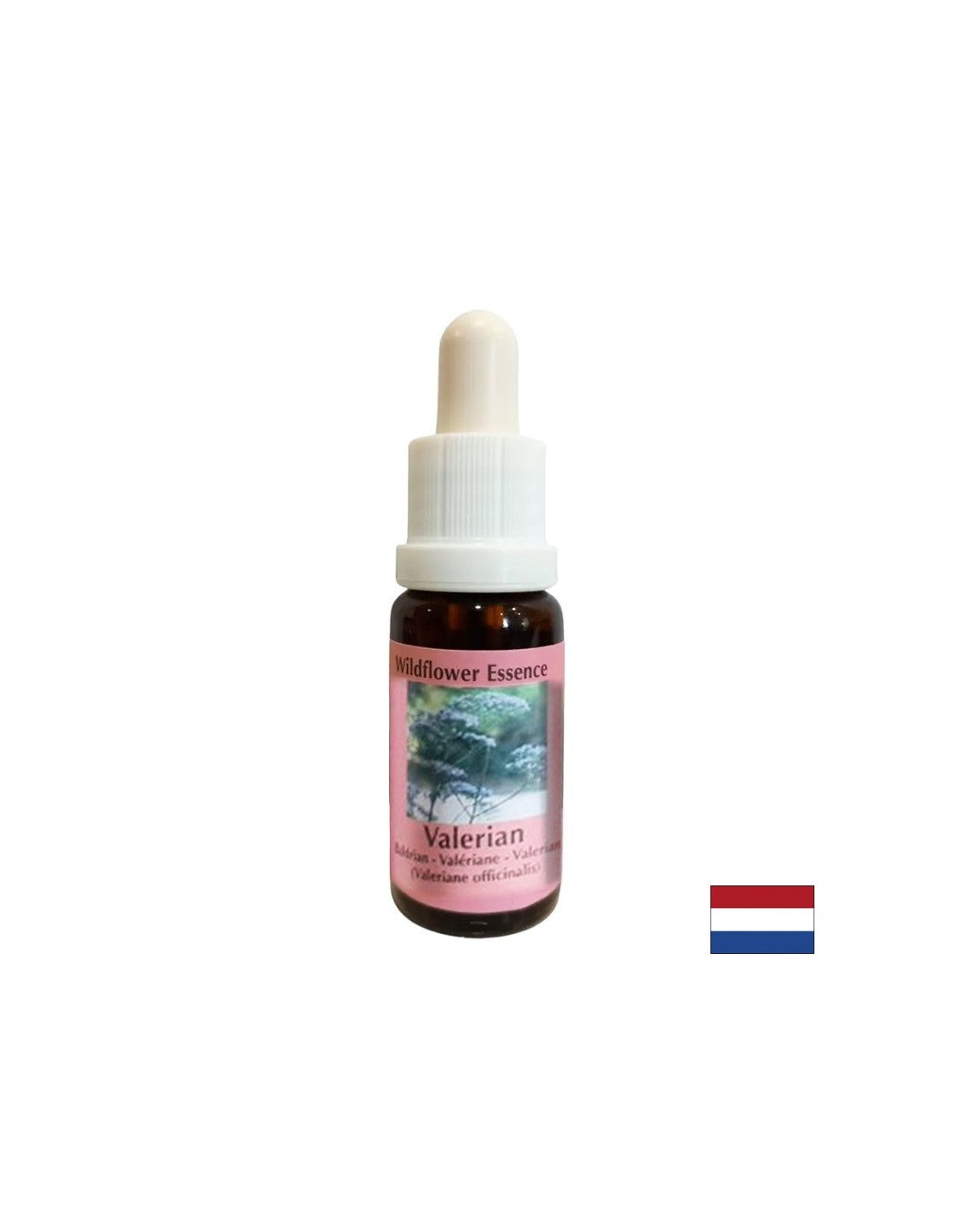 Nyugtatja a testet és a lelket, segít az álmatlanság és a stressz ellen - Valerian Essence No. 21, cseppek 15 ml