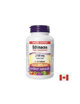 Immunitás - Echinacea (hármas standardizált kivonat) 2100 mg, 90 lágyzselé kapszula