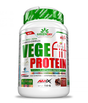 VEGEfiit PROTEIN 0.720 kg - Nutra Best Europe