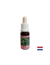 Egyesíti az energiaközpontokat, a jó emésztés érdekében - Basil Essence No. 23, cseppek 15 ml