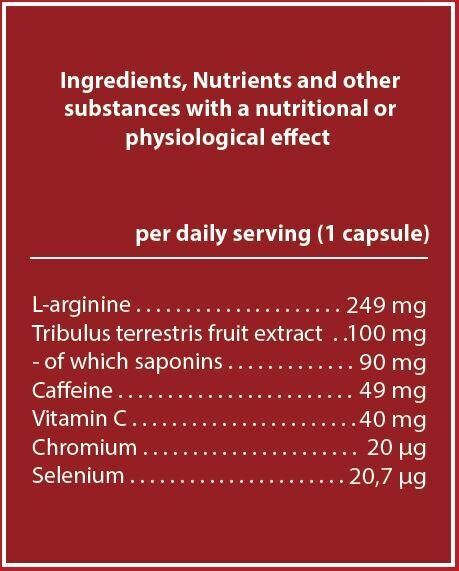 Power Up / 15 Caps NATURE ON - Nutra Best Europe