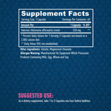 Valerian 250mg. / 60 caps. - Nutra Best Europe