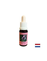 Aktiválja a bátorságot és az öngyógyítást - Essence Prishnitsa No. 25, cseppek 15 ml